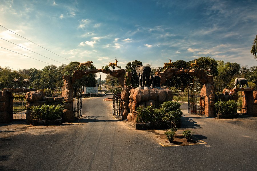 Zoo Construction